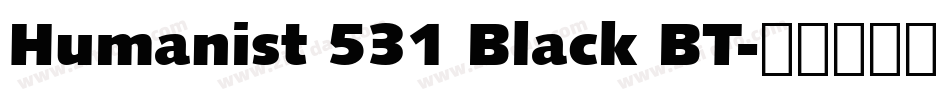 Humanist 531 Black BT字体转换